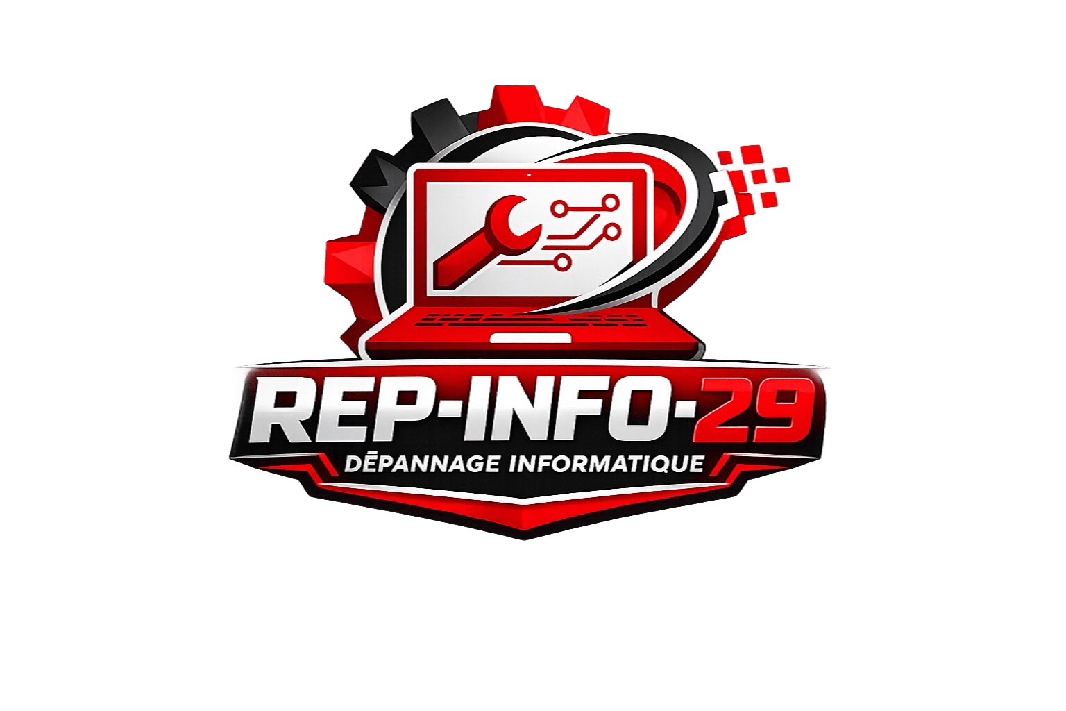 REP-INFO-29